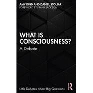 What is Consciousness?