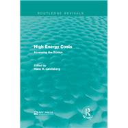 High Energy Costs: Assessing the Burden