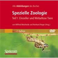 Bild-dvd, Spezielle Zoologie, Teil 1: Einzeller Und Wirbellose Tiere: Alle Abbildungen Des Buches