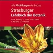 Strasburger Botanik: Alle Abbildungen Des Buches