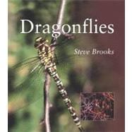 Dragonflies