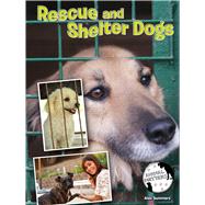 Rescue and Shelter Dogs