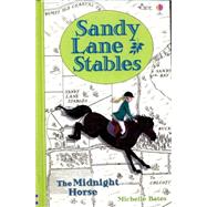 Sandy Lane Stables - the Midnight Horse