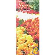 Spring In Bloom: Special Occasions Calendar