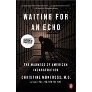 Waiting for an Echo: THE MADNESS OF AMERICAN INCARCERATION