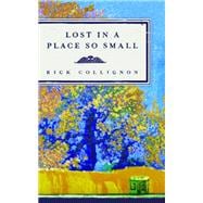 Lost in a Place So Small A Novel