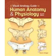 A Visual Analogy Guide to Human A&P, 2e
