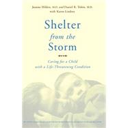 Shelter From The Storm