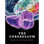 The Cerebellum Brain for an Implicit Self