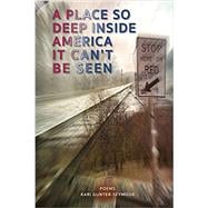 A Place So Deep Inside America It Can't Be Seen: Poems (Sheila-Na-Gig Editions)
