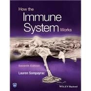 How the Immune System Works