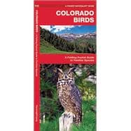 Colorado Birds A Folding Pocket Guide to Familiar Species