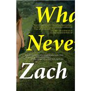 What We Never Had A Novel