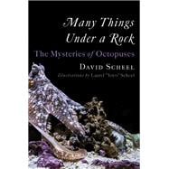 Many Things Under a Rock The Mysteries of Octopuses