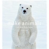 Make Animals Felt Arts from Japan