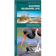 Eastern Seashore Life A Folding Pocket Guide to Familiar Plants & Animals