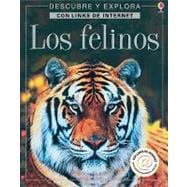 Los Felinos / Big Cats: Internet Linked