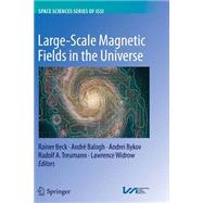 Large-scale Magnetic Fields in the Universe