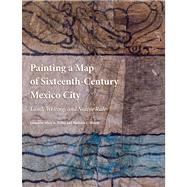 Painting a Map of Sixteenth-Century Mexico City : Land, Writing, and Native Rule