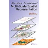 Algorithmic Foundation of Multi-scale Spatial Representation