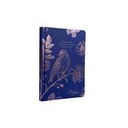 Jane Austen - Indulge Your Imagination Hardcover Ruled Journal