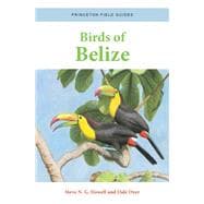 Birds of Belize