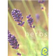 A Visual Dictionary of Herbs