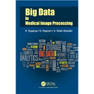 Big Data in Medical Image Processing