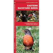 Eastern Backyard Birds A Folding Pocket Guide to Familiar Urban Species