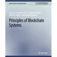 Principles of Blockchain Systems