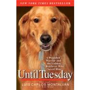 Until Tuesday A Wounded Warrior and the Golden Retriever Who Saved Him