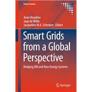Smart Grids from a Global Perspective