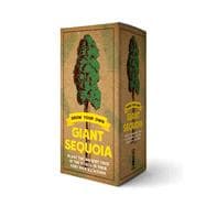 The Grow Your Own Giant Sequoia Kit Plant the Biggest Tree in the World in Your Very Own Backyard!