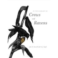 In The Company Of Crows And Ravens