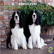 English Springer Spaniels 2003 Calendar