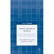 What Water is Worth Overlooked Non-Economic Value in Water Resources