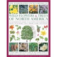 Illustrated Encyclopedia of Wild Flowers and Trees of North America : An Expert Reference and Identification Guide to over 2000 Wild Flowers and Plants from Every Continent with 4000 Beautiful Watercolours, Maps and Photographs