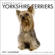 Portrait Studio - Yorkshire Terriers 2011 Calendar
