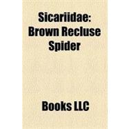 Sicariidae : Brown Recluse Spider, List of Sicariidae Species, Chilean Recluse, Sicarius, Six-Eyed Sand Spider, Mediterranean Recluse Spider