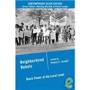 Neighborhood Rebels Black Power at the Local Level,9780230620773