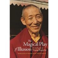 The Magical Play of Illusion