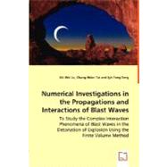 Numerical Investigations in the Propagations and Interactions of Blast Waves
