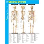 Skeletal System SparkCharts