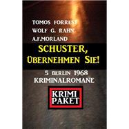 Schuster, übernehmen Sie! 5 Berlin 1968 Kriminalromane