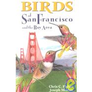 Birds of San Francisco and the Bay Area