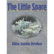 The Little Space