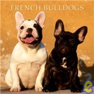 French Bulldogs 2003 Calendar