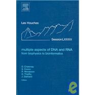 Multiple Aspects of DNA and RNA: from Biophysics to Bioinformatics