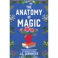 The Anatomy of Magic