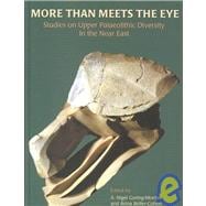 More than Meets the Eye : Studies on Upper Palaeolithic Diversity in the Near East